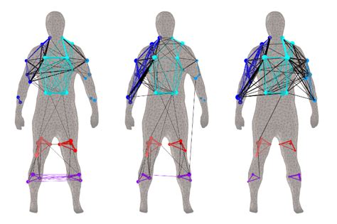 About Human Movement Sciences - Human Movement Sciences | Vrije ...