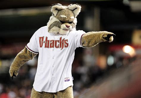 D. Baxter the Bobcat (Arizona Diamondbacks) | SportsMascots Wikia | FANDOM powered by Wikia