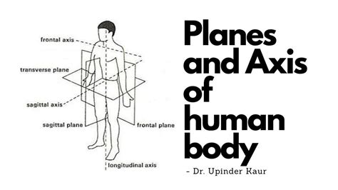 Planes and Axis in human body - YouTube