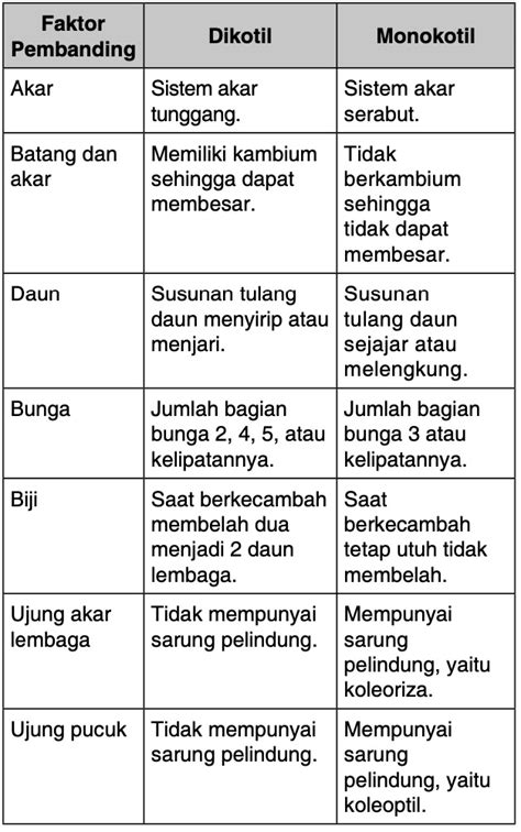 Tabel Perbedaan Akar Monokotil Dan Dikotil