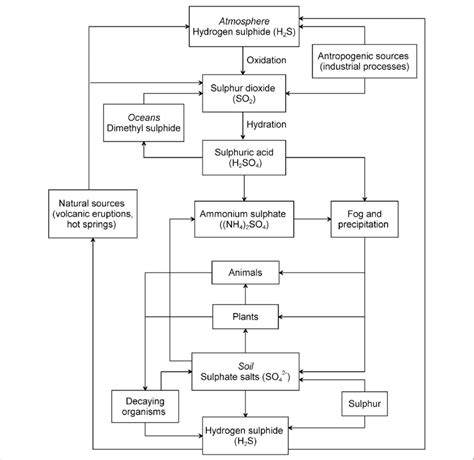 The sulfur cycle in the environment [1,2]. | Download Scientific Diagram