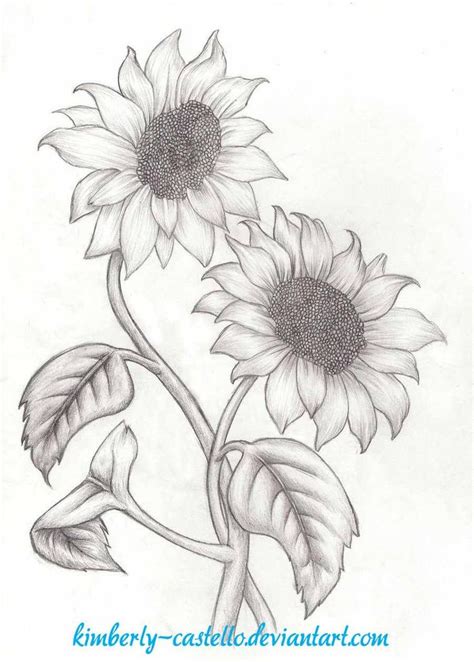 Sunflowers Sketch by Dark-Bahamut-Zero on DeviantArt | Pencil drawings ...