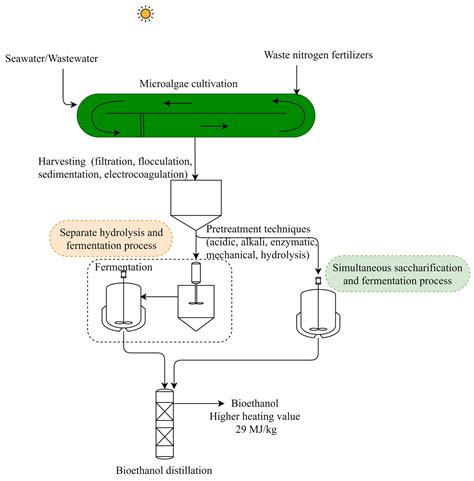 Algae Biofuel Chart