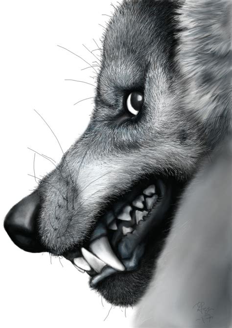 Smiling Wolf. by house89 on DeviantArt