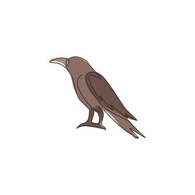 Crow Drawing Vector Art, Icons, and Graphics for Free Download