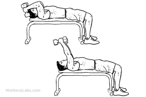 Lying Dumbbell Tricep Extension | Illustrated Exercise guide - WorkoutLabs