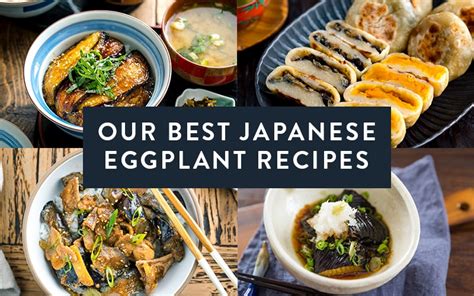 Our Best Japanese Eggplant Recipes • Just One Cookbook