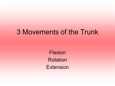 TRUNK FLEXION