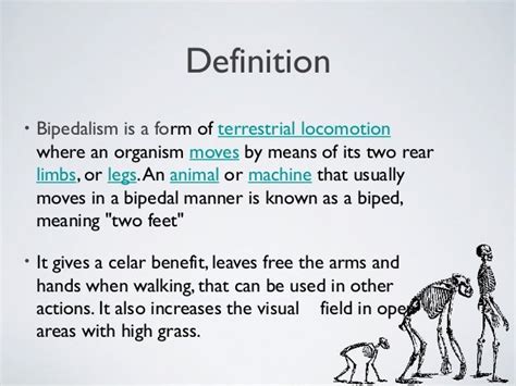 Bipedalism