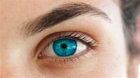 The Truth About Blue Eyes - The List | Beautiful eyes color, Blue eye ...