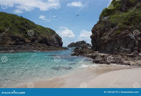 Island Cocinas`s Beach of Punta Perula Stock Image - Image of sand, great: 134164775