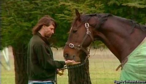 Horses bring serenity to Lord of the Rings’ Viggo Mortensen | Brego.net