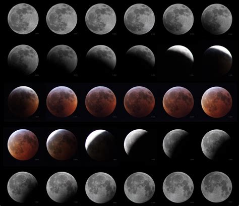 The Stages of the Lunar Eclipse : r/astrophotography