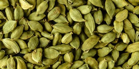 Cardamom : Uses,Benefits & Side effects