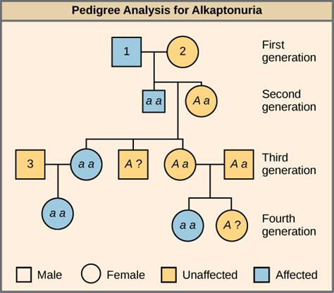 Characteristics and Traits | Biology for Majors I