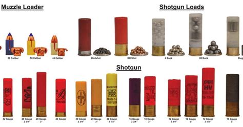 Ammo and Gun Collector: Shotgun Shell Gauge and Load Comparison Chart