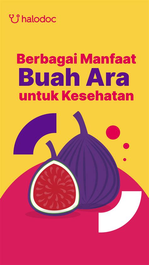 5 Manfaat Buah Ara bagi Kesehatan yang Sayang Dilewatkan