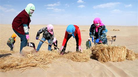 Desertification Prevention Photograph by Thierry Berrod, Mona Lisa ...