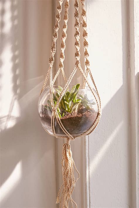 Hanging Macramé Terrarium - Set Of 5 | Hanging plants diy, Hanging ...