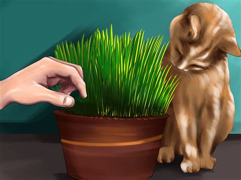 3 Ways to Encourage Your Cat's Hunting Instinct - wikiHow