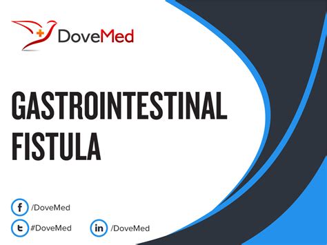 Gastrointestinal Fistula