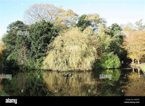 Sefton Park, Autumn time Stock Photo - Alamy