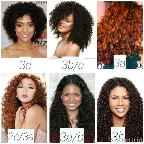 2c 3c curly hair. | Hair type chart, Curly hair types, Haircut types