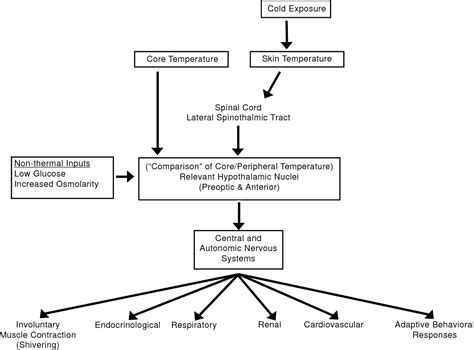 Figure 11-1 from Chapter 11 HUMAN PHYSIOLOGICAL RESPONSES TO COLD ...