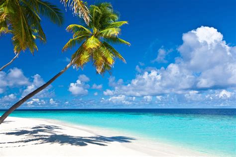 Caribbean Island Wallpaper - WallpaperSafari