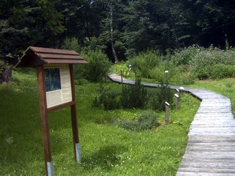 File:Nature Path baerenfels.JPG - Wikimedia Commons