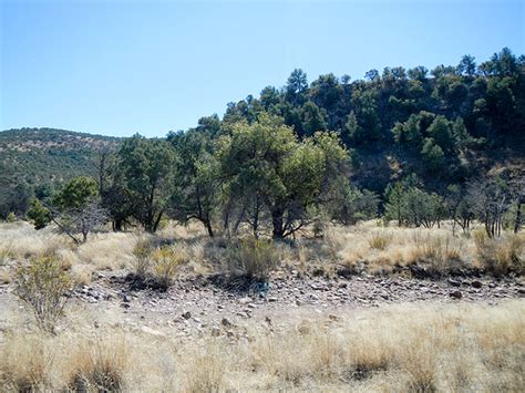 Madera Canyon Trail - Davis Mountains - Trek Southwest