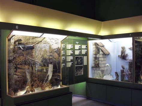 Naturkundliches Museum (Schweinfurt)