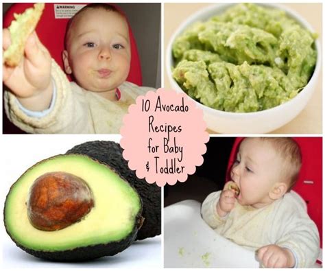 Baby Food Recipes Avocado