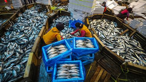 52 Places to Go: Busan Fish Market - The New York Times