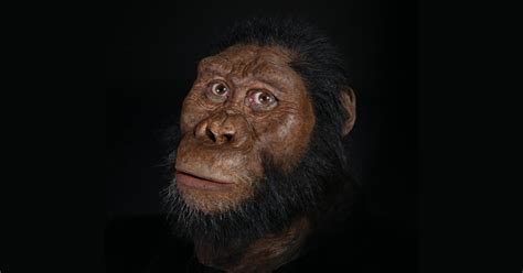 Incredible Fossil Discovery Finally Puts A Face On An Elusive Early Hominin | Gizmodo Australia