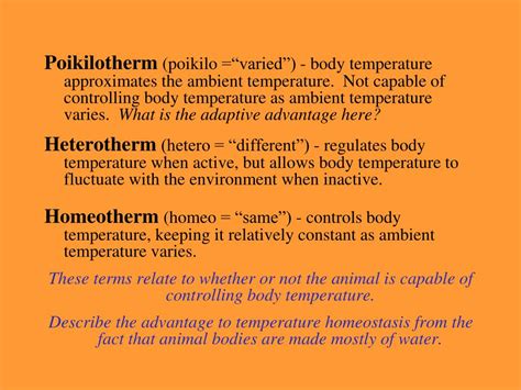 PPT - Thermoregulation PowerPoint Presentation - ID:250089