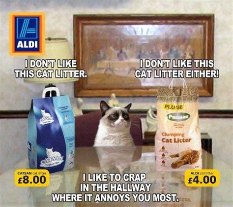 The Best 16 Funny Aldi Memes - impressdopics