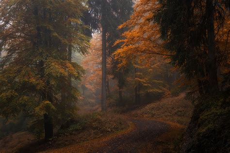 Those dark autumn days | Behance