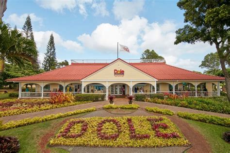 Best Pineapple Farms in Hawaii to Visit || Island and You