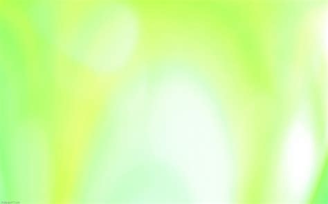 Light Green Background - WallpaperSafari