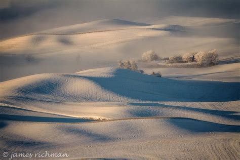 Palouse Winter, St John, WA | Palouse, Scenic, Favorite places