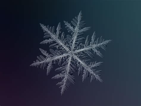 How do snowflakes form? – How It Works