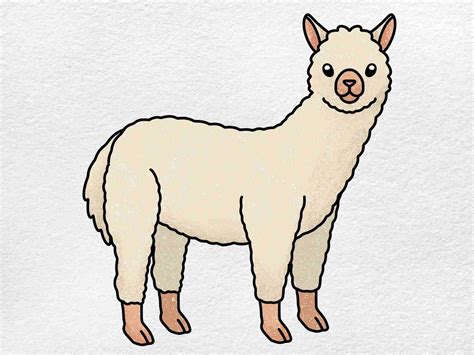 How to Draw an Alpaca - HelloArtsy