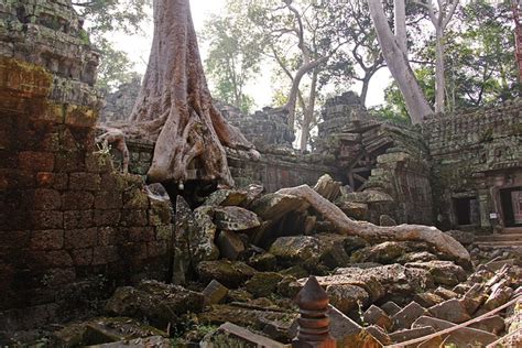 Ta Prohm Temple Tomb Raider Fame - Free photo on Pixabay - Pixabay