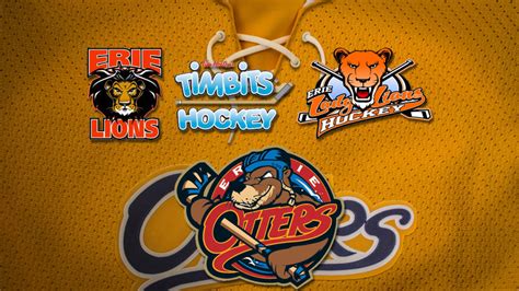 Otters Announce Partnership with Erie Youth Hockey Association – Erie ...