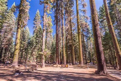 Best Yosemite National Park Camping (Photos!) • James Kaiser