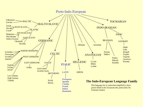 Indo-European Language Tree