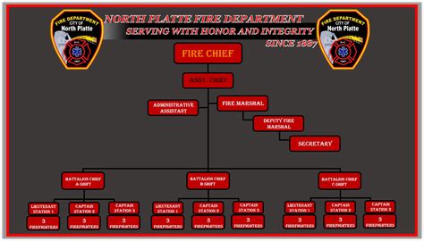 33 Free Editable Department Organizational Chart Temp - vrogue.co