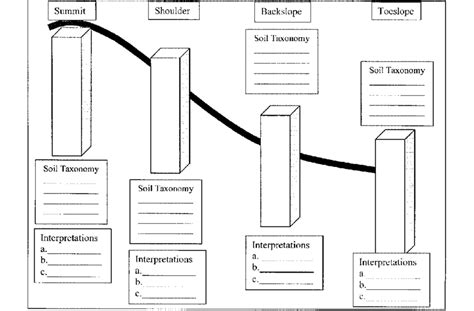 Diagram of soil profiles in a catena, to be completed in the field. In ...