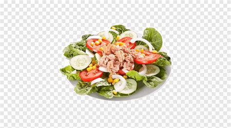 Salad Tuna Salad Nicoise Hidangan Selada, salade verte, sayuran daun, makanan png | PNGEgg